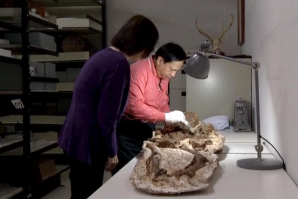 Phát hiện hóa thạch mẹ ôm con 4.800 năm ở Đài Loan - Ảnh 2.