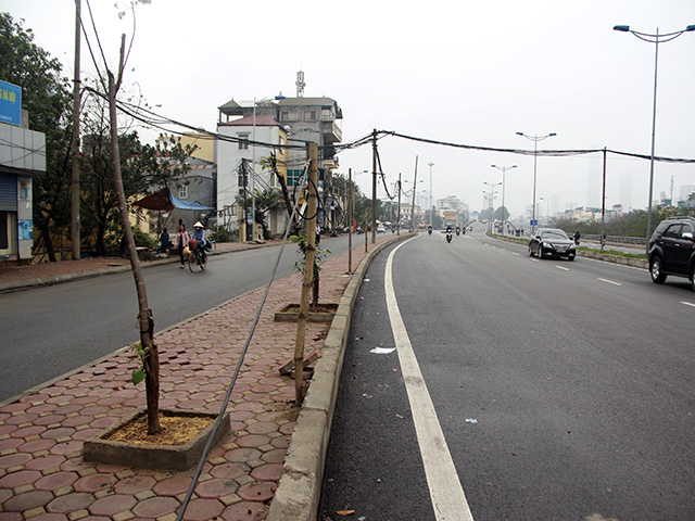 Cột điện được dựng bằng những cọc tre tạm bợ, dây điện chùng xuống có thể gây nguy hiểm cho người đi đường.