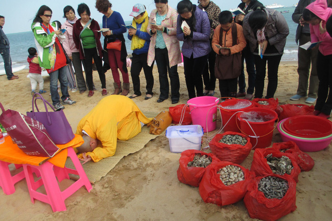 
Ngày 3/1/2015, cả chục người dân đã tập trung lại mua tới hàng trăm cân hải sản sống để phóng sinh bên bờ biển. Họ còn chu đáo mời một sư thầy đến làm lễ cho thêm phần long trọng.
