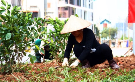 Tuyến đường này được cho là tuyến đường trọng điểm của thủ đô, thuộc dự án đường Vành đai 2. Mỗi chiều có năm làn đường để các xe di chuyển, trong đó ba làn dành cho ô tô và hai làn dành cho xe máy. Khi tuyến đường được thông xe chính thức sẽ giảm thiểu ùn tắc giao thông vào giờ cao điểm, đặc biệt rút ngắn thời gian khoảng cách từ Cầu Giấy đến cầu Nhật Tân.