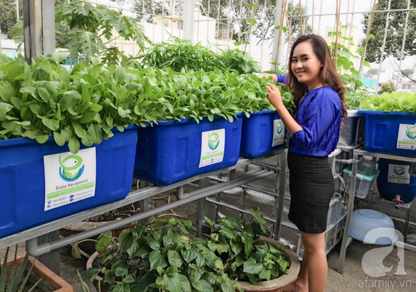 Nguyễn Phương Lan với mô hình trồng rau sạch kết hợp nuôi cá