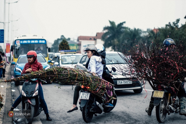 Cả một khoảng trời quanh các khu chợ nổi tiếng ấy như đều rộn ràng hẳn lên trong không gian đông vui, nhộn nhịp, rộn ràng tiếng nhạc mừng xuân và tiếng người cười nói, rao bán hàng hóa.