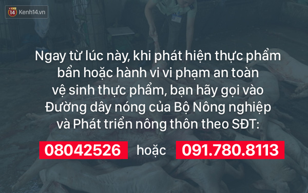 
Mỗi hành động nhỏ của bạn sẽ góp thêm tiếng nói vào cuộc chiến chống thực phẩm bẩn cùa cả xã hội!
