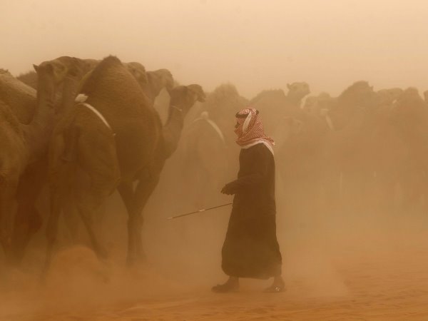 
Dù là quốc gia giàu có nhưng ít ai biết 95% diện tích Ả rập Saudi là sa mạc.
