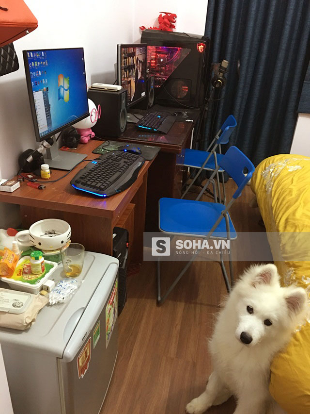 
Trong phòng ngủ, Hữu Công đặt 2 dàn máy vi tính để tiện theo dõi và quản lý công việc. Anh còn nuôi 1 chú cún Samoyed khá đẹp để bầu bạn.
