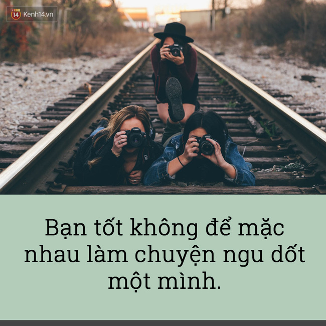 Có phúc cùng hưởng, nghịch ngu cùng chịu.