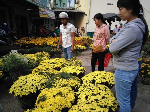 
Người dân thăm dò giá hoa
