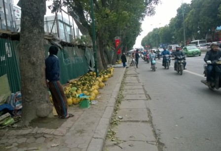 
Dọc đường Phạm Văn Đồng là nơi tập trung bán bưởi Kỳ Đà
