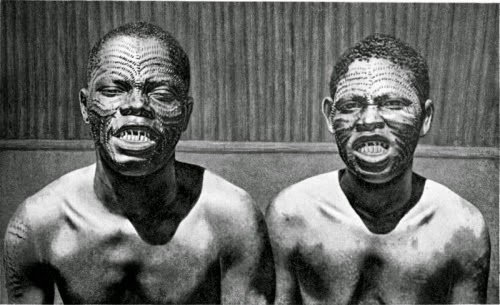 
Hai thanh niên bộ tộc Bopoto, Bắc Congo khoe răng đã được mài (1912).
