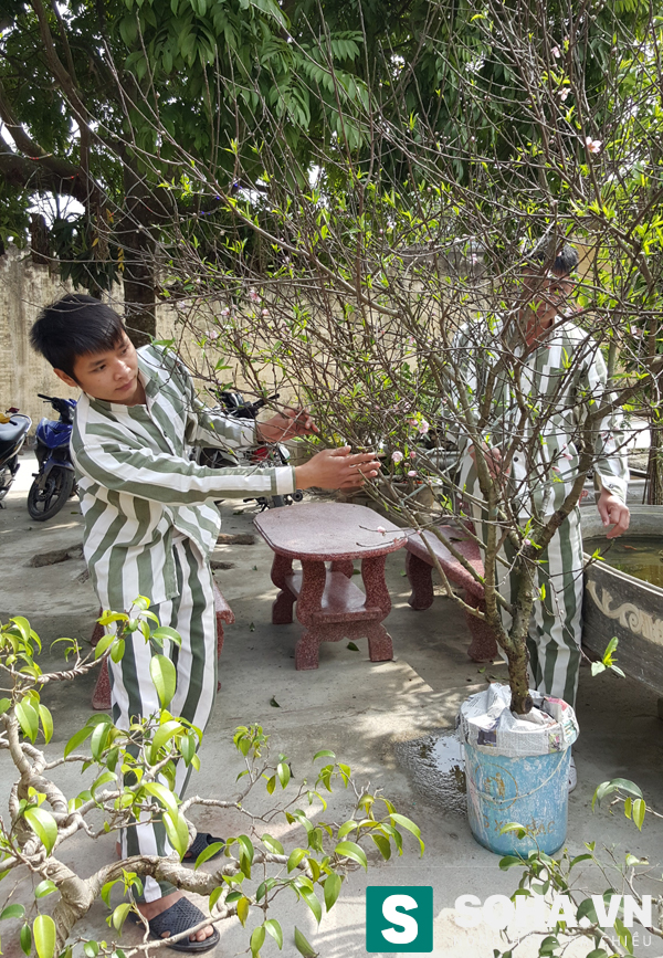 
Tết đến, ngoài được tăng chế độ về chế độ thực phẩm thì đời sống tinh thần của phạm nhân cũng được cải thiện.
