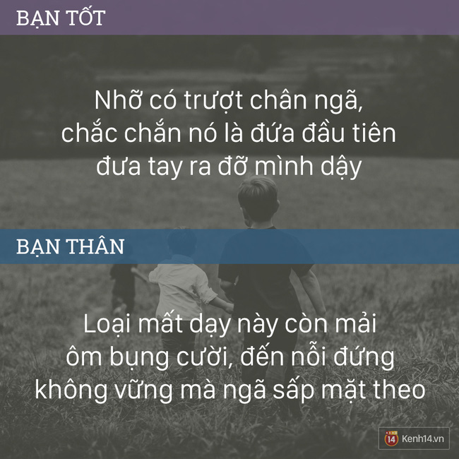 Cuối cùng mình lại phải đỡ nó, thế đấy.