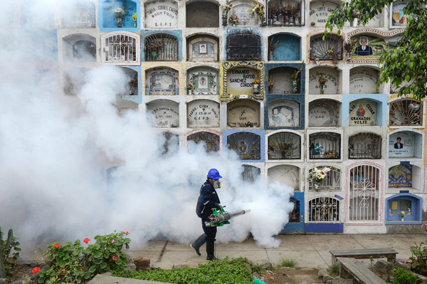 
Một chuyên gia đang phun thuốc diệt muỗi ở nghĩa trang Nueva Esperanza, ngoại ô Lima, Peru. Các nhân viên y tế đã tiến hành phun thuốc diệt muỗi tại nghĩa trang lớn nhất Peru và lớn thứ 2 thế giới để ngăn ngừa sự lây lan của dịch bệnh Zika gây teo não.
