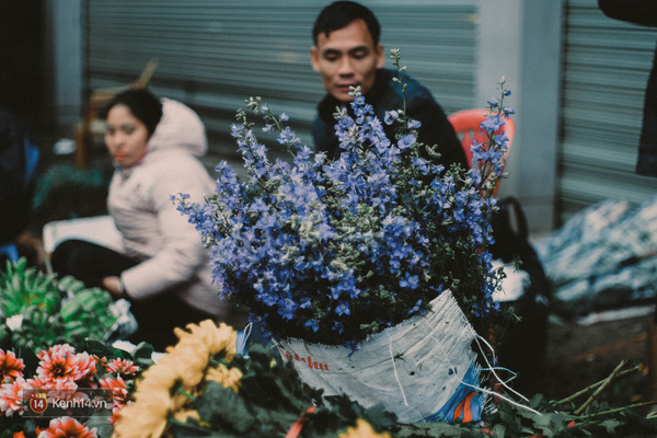 Một bình hoa, thêm vào vài cành violet cũng đã đủ mộng mơ, xinh xắn và nhẹ nhàng đi bao nhiêu lần rồi. Còn bạn, liệu bạn có nhớ tên của loài hoa này không? Hay trong đầu chỉ hiện lên hình ảnh một loài hoa tím tím, nhẹ nhẹ, thân quen mà nghĩ hoài chẳng ra tên?