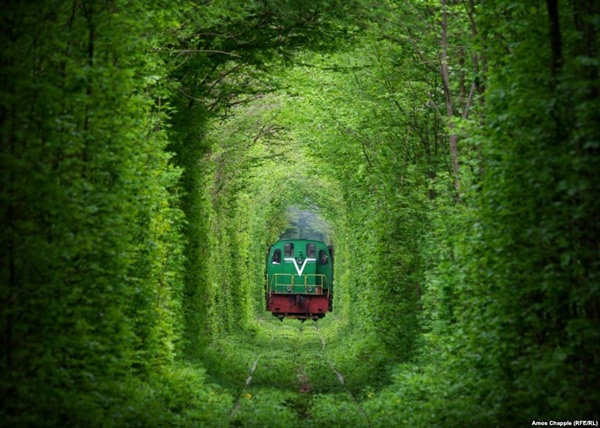 
Cho đến nay, tàu hỏa vẫn chạy trên đường hầm tình yêu tuyệt đẹp này.
