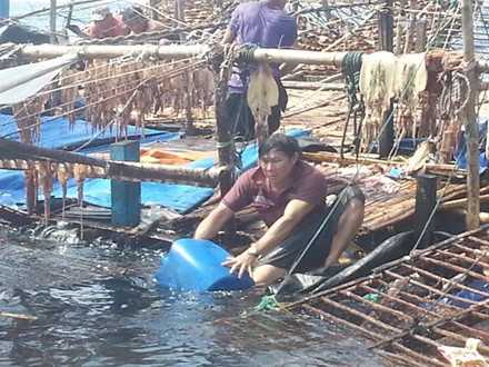 
Thuyền trưởng Phạm Văn Thành đang cố vớt vác những tài sản trên tàu trước khi tàu chìm hẳn xuống lòng biển

 
