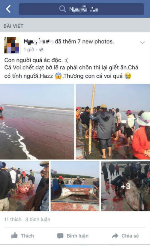 Một facebook đăng tải hình ảnh và dòng trạng thái về việc cá voi bị xẻ thịt.