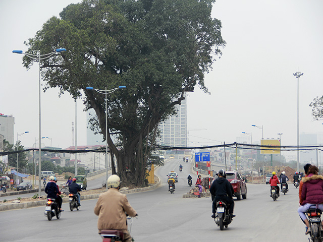 Những bó dây khủng xoắn chặt vào nhau, kéo ngang con đường đắt đỏ khiến nhiều người cảm thấy tiếc nuối vì làm mất mỹ quan đô thị cũng như sự an toàn cho người đi đường.