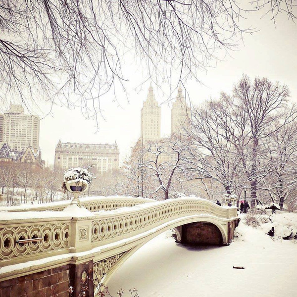 
Công viên Central Park nổi tiếng trong ngày tuyết phủ.
