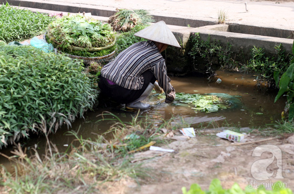 
Bao quanh hố nước là vỏ thuốc trừ sâu, thuốc trừ cỏ...
