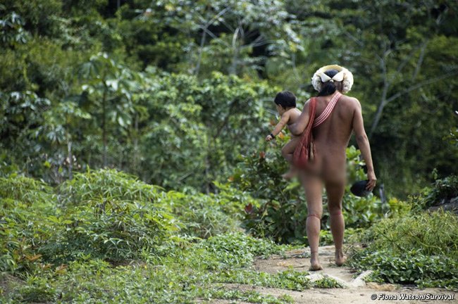 
Sống ở khu vực rừng Amazon nên cuộc sống của bộ tộc này bám vào thiên nhiên.
