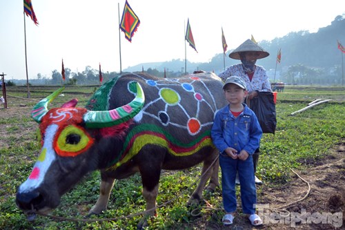 
Hội thi thu hút đông đảo người dân, du khách.
