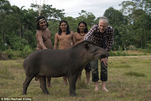
Các chiến binh Waorani cho Gordon xem một con heo vòi đã được thuần chủng trong chuyến đi của anh tới thăm rừng Amazon ở Ecuador.
