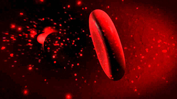 Dimethyl cadmium nhanh chóng lan rộng theo dòng máu và phá hủy tế bào cơ thể