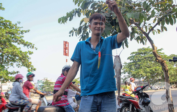 Thông thường, vì cá sống trong ống cống nên người câu chủ yếu bán rẻ hoặc cho người khác chứ ít ăn. Họ xem việc câu cá như một thú tiêu khiển thay vì mưu sinh.