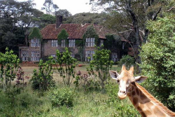 Địa điểm: Nairobi, Kenya