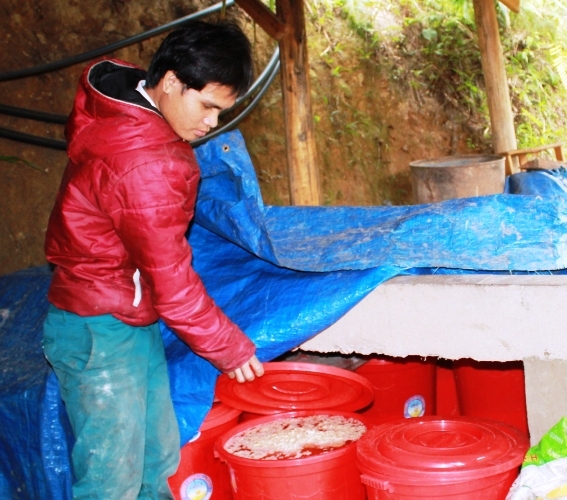 
Tại xã Axan (huyện Tây Giang) có truyền thống nấu rượu măng lá nhưng đang dần mai một. Ông Liếc quê ở xã Axan nên có thể mong muốn khôi phục lại nghề này để phát triển du lịch, tạo việc làm cho người dân
