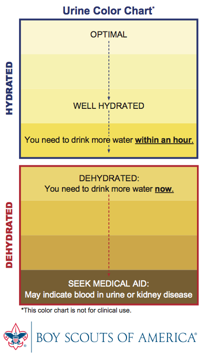 
Biểu đồ màu sắc nước tiểu giúp bạn biết khi nào nên uống nước. Ảnh Internet.
