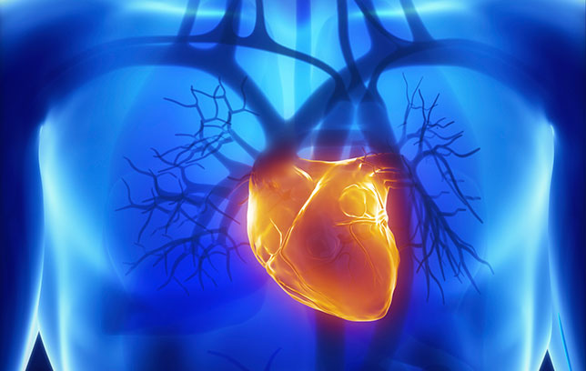 35% người bị đau tim nhầm lẫn triệu chứng bệnh tim với khó tiêu - Ảnh 2.