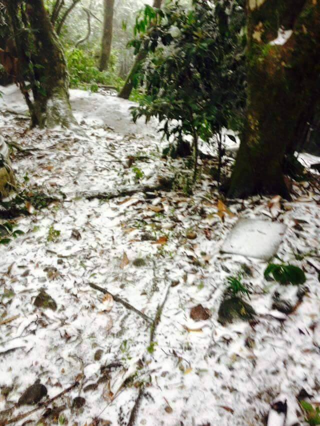 
Tuyết rơi ở Ba Vì. Ảnh: FB Thiên Địa Nhân
