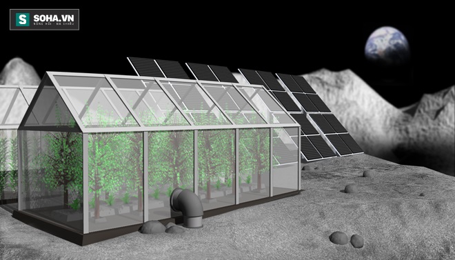 
Kết quả nghiên cứu từ Biosphere 2 có thể sẽ dùng cho căn cứ Mặt trăng.
