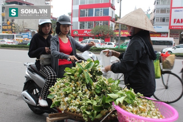 
Ngày mùng 1, người dân Hà Nội có thói quen mua hoa bưởi về thắp hương. Ngoài ra, nếu để hoa bưởi để trong phòng cũng thơm ngát.
