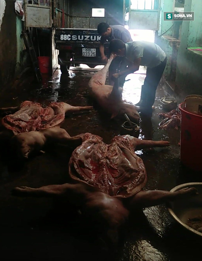 
Lợn chết được mổ cấp tốc trong lò của Hải quạ.
