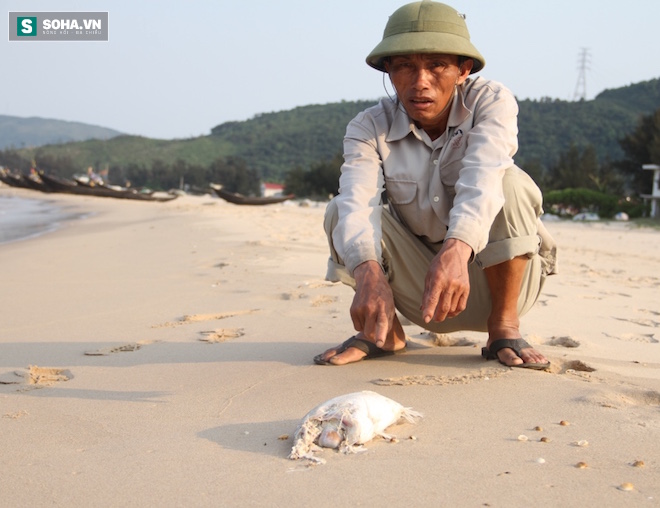 Nửa tháng nữa mà cứ thế này mãi thì dân chúng tôi chết theo cá mất thôi, ông Trị buồn bã tâm sự.