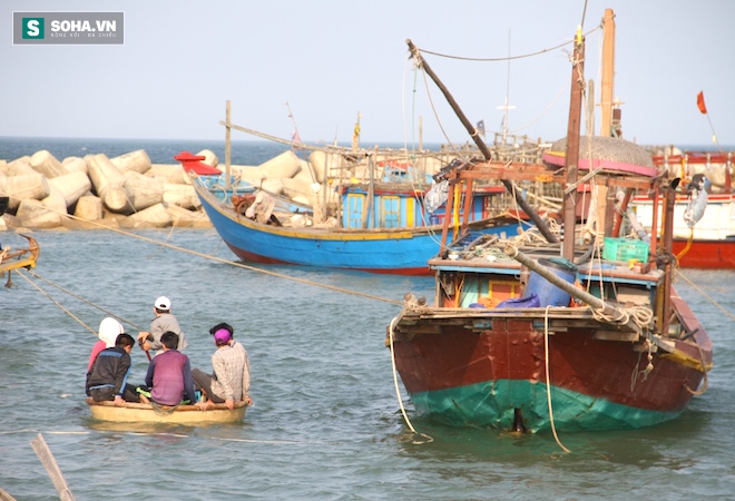 
Lo lắng vì nghề cá nuôi gia đình, khi thấy cá chết đã giảm hẳn, một số hộ dân vẫn đưa thuyền, lưới ra biển đánh cá nhưng cũng không được như mong đợi. Nếu bắt được về thì ra chợ bán lại chẳng ai mua.
