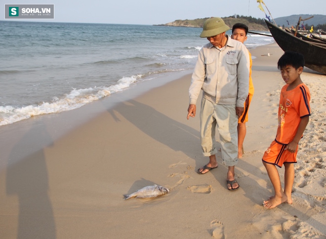 
​Ông Mai Trĩ (56 tuổi, trú thôn Đồng Yên (Kỳ Nam, Kỳ Anh) cho biết, nửa tháng trước, chính tay ông đã phải hốt đi chôn chừng 1 tạ cá chết dọc bờ biển.
