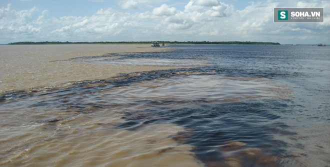 
Mặt nước một đoạn sông Amazon.
