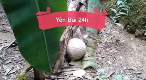 Ảnh: Yên Bái 24h