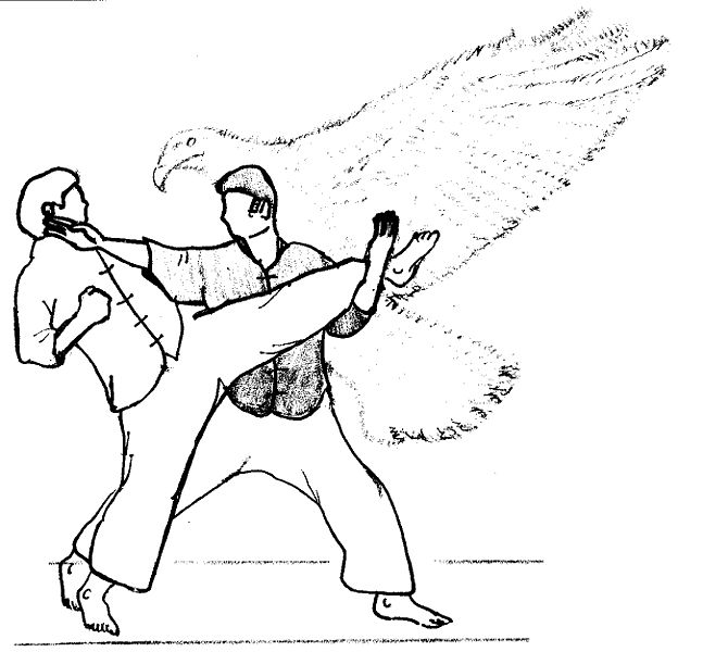 Taekwondo Kick Hoạt Hình Dễ Thương Dễ Thương Phiên Bản Q Anime Cô Gái Vẽ  Tay Nhân Vật  Công cụ đồ họa PSD Tải xuống miễn phí  Pikbest