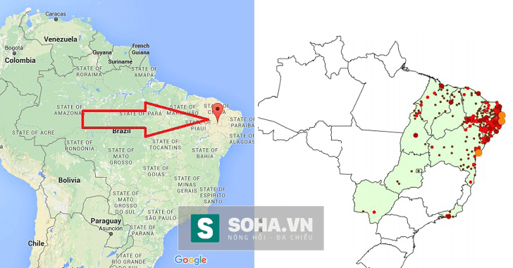 Juazeiro, Brazil - vị trí nơi muỗi biến đổi gen chính thức được phát tán vào tự nhiên và bản đồ cho thấy vị trí phát hiện các ca trẻ sơ sinh bị dị tật teo đầu.