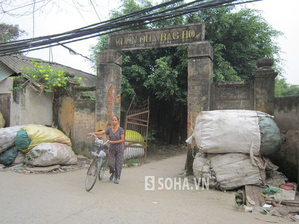 Biến khu di tích thành nơi chứa rác thải.