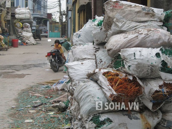 Đặc biệt, những em nhỏ này lớn lên và sống chung với ô nhiễm, môi trường của bệnh tật đe dọa.