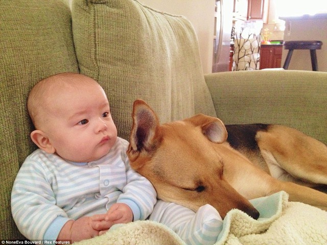 Một người bạn thân nhất của cậu bé: Carter (trái) và trung thành vật nuôi Toby của ông đã không thể tách rời kể từ khi cầu thủ trẻ đã được chào đón vào nhà gia đình