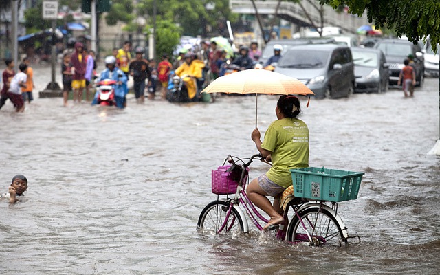 Một phụ nữ đạp xe trên đường phố ngập lụt ở Jalan Panjang , Tây Jakarta, Indonesia.