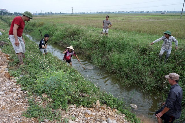 Săn chuột, trai tráng, cánh đồng, nhậu