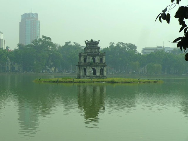 Cụ rùa