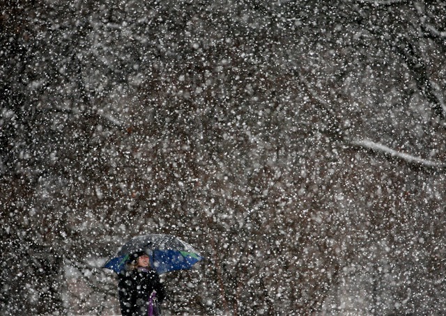 Tuyết rơi trong công viên quảng trường Washington ở New York, Mỹ.